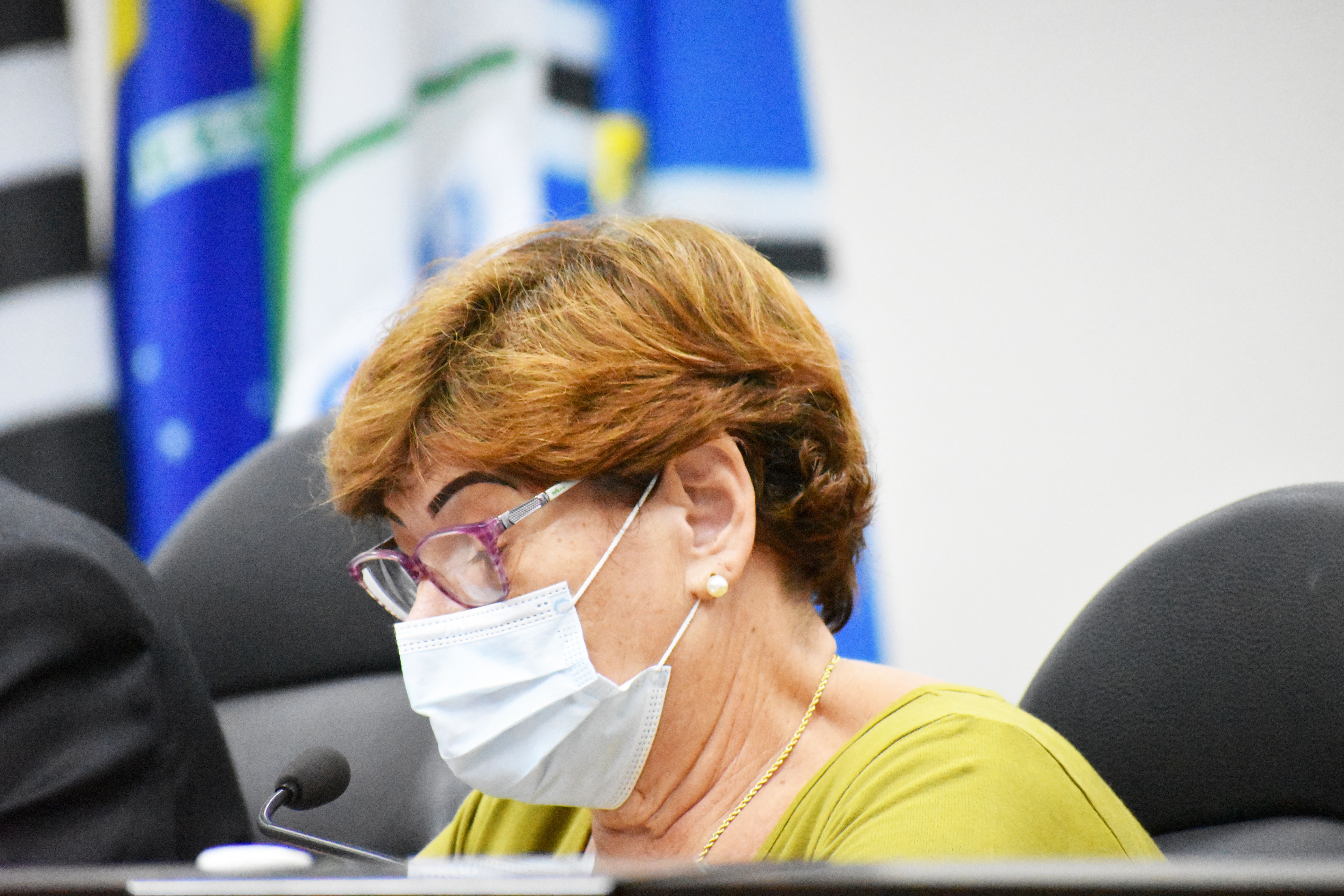 Visualize fotos 5ª Sessão Ordinária 2022