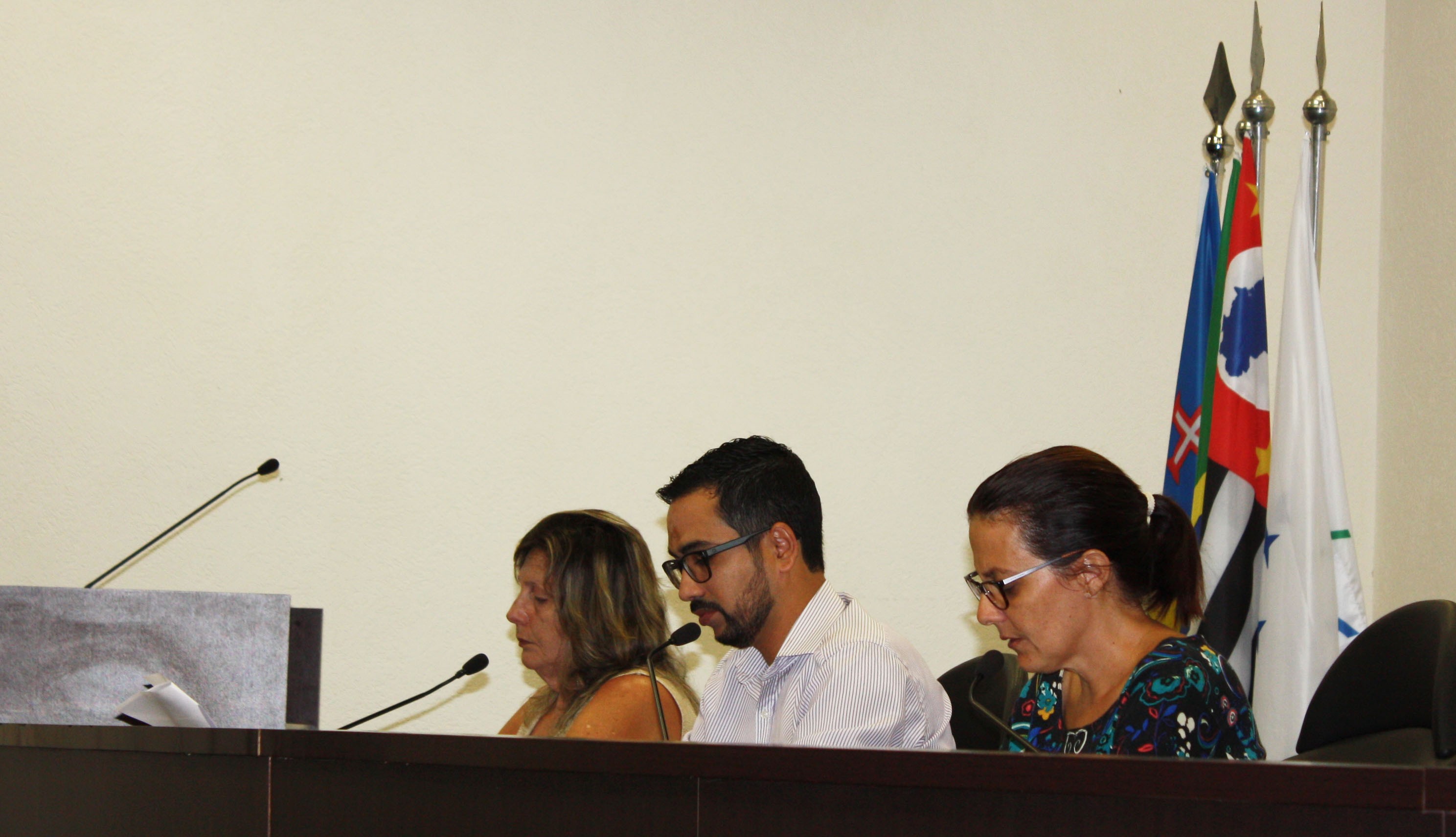 Visualize fotos 6ª Sessão Ordinária 2018