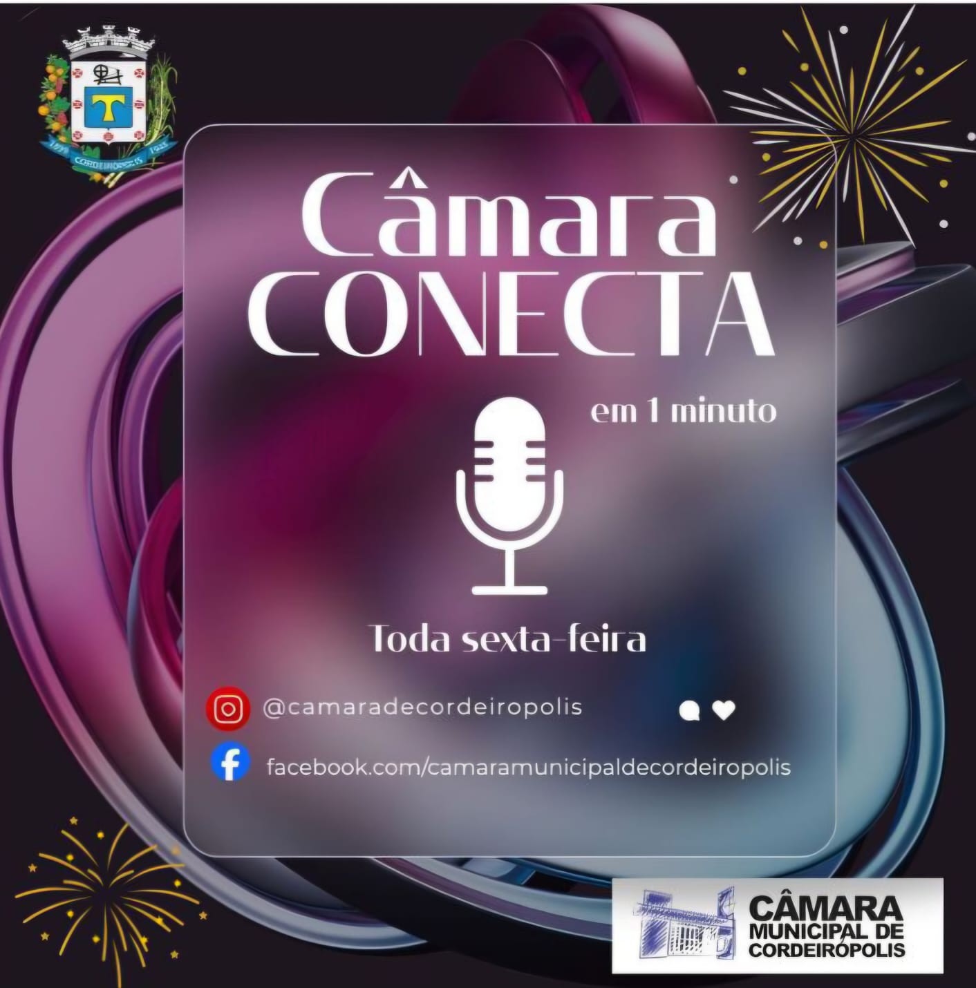 🌟 Em instantes, o último Câmara Conecta do ano estará no ar em nossas redes sociais! 🌟