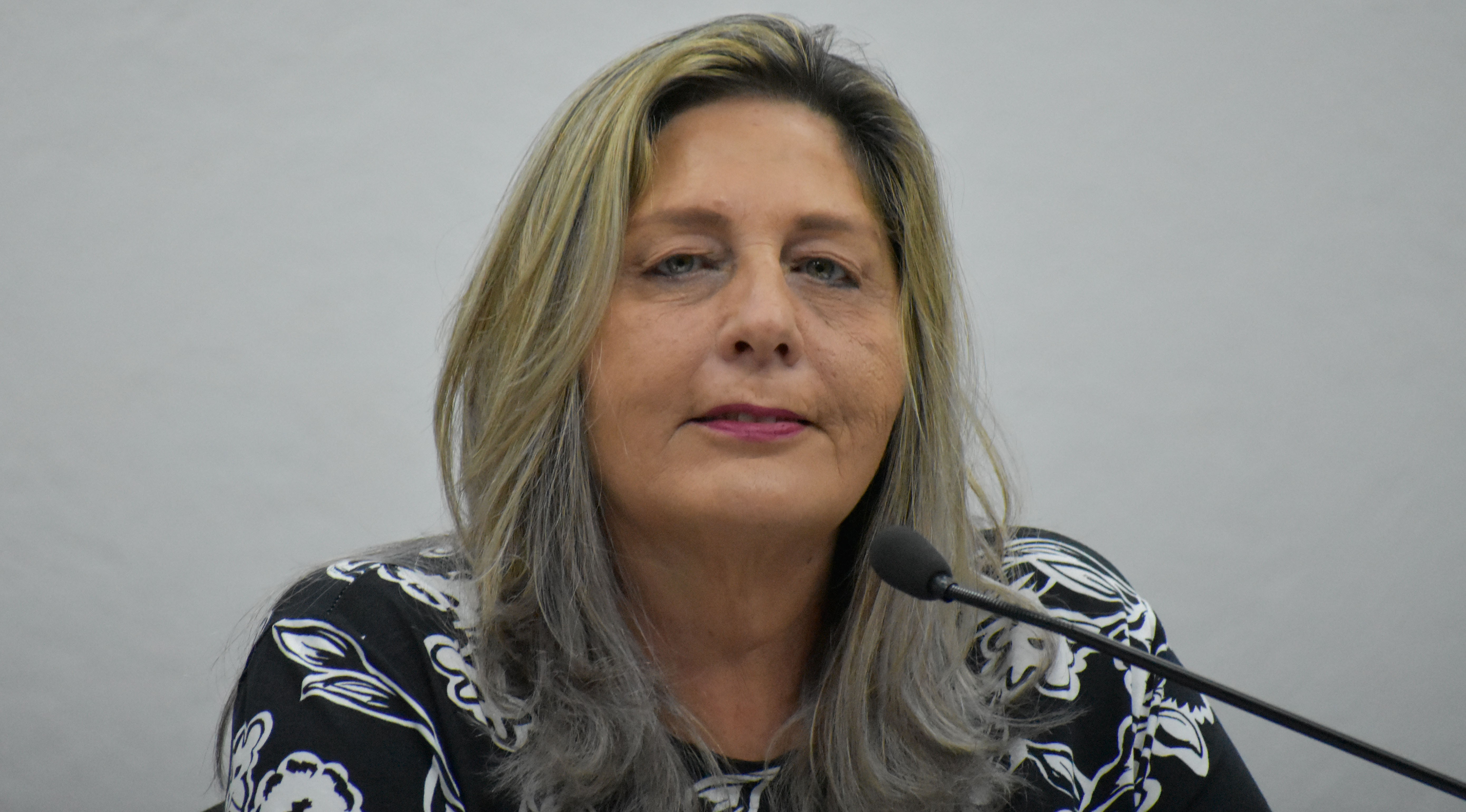 Imagem da notícia: Vereadores aprovam Moção de apelo para solução da Rodovia Cássio de Freitas Levy