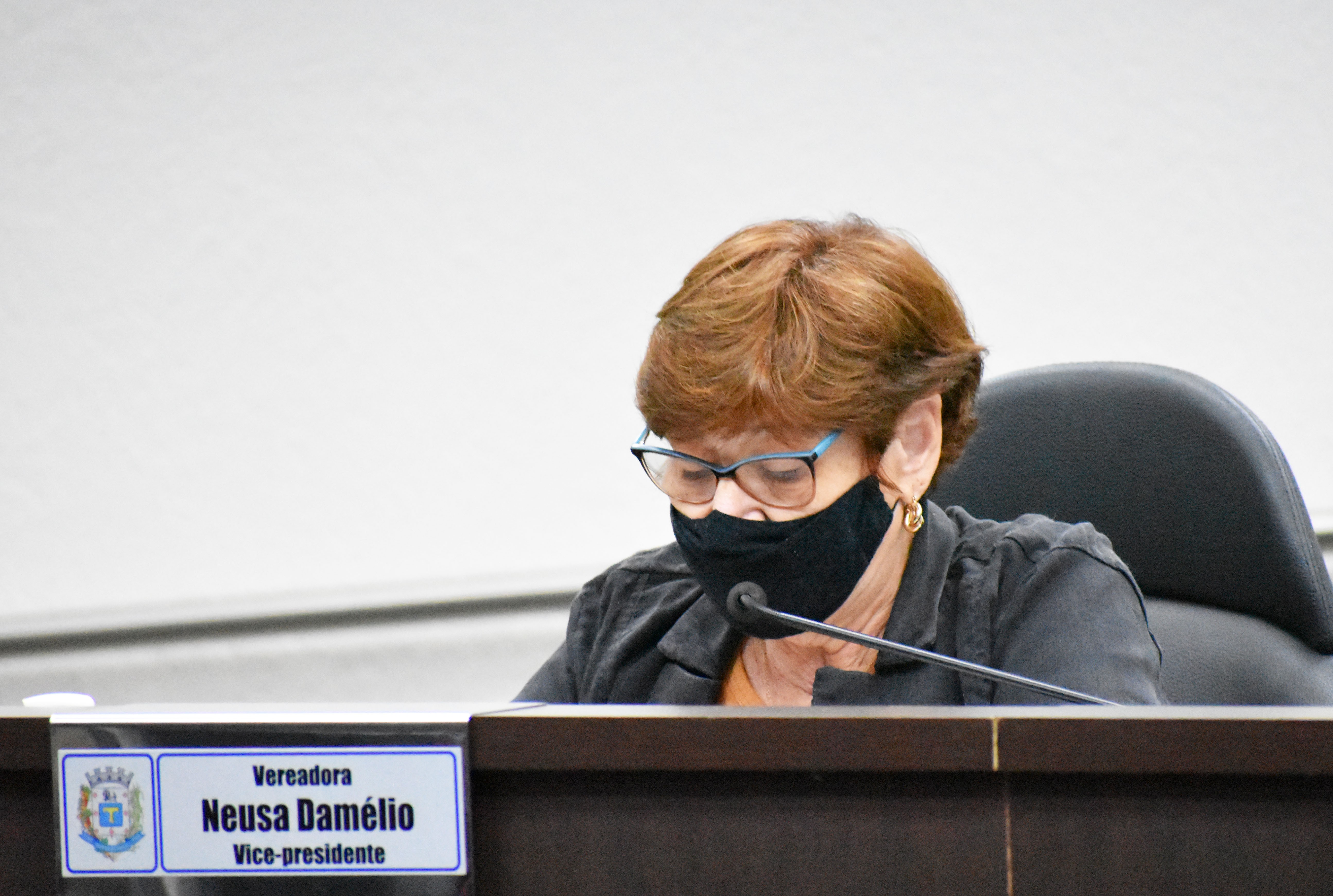 Imagem da notícia: Vereadora Neusa apresenta projeto que institui "Junho Verde"