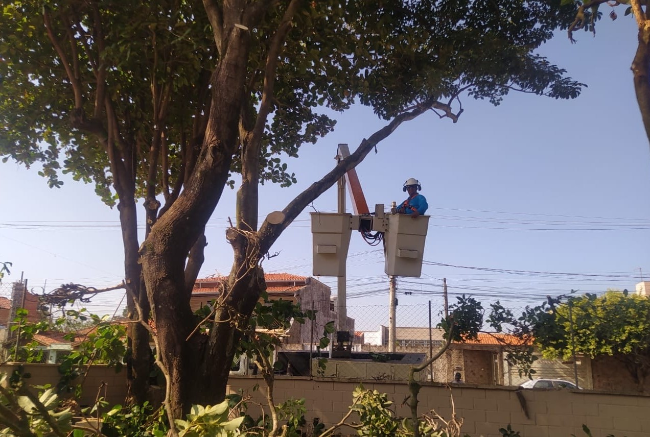 Imagem da notícia: Vereador Sérgio Balthazar solicita serviços em apoio a escola estadual Odécio Lucke
