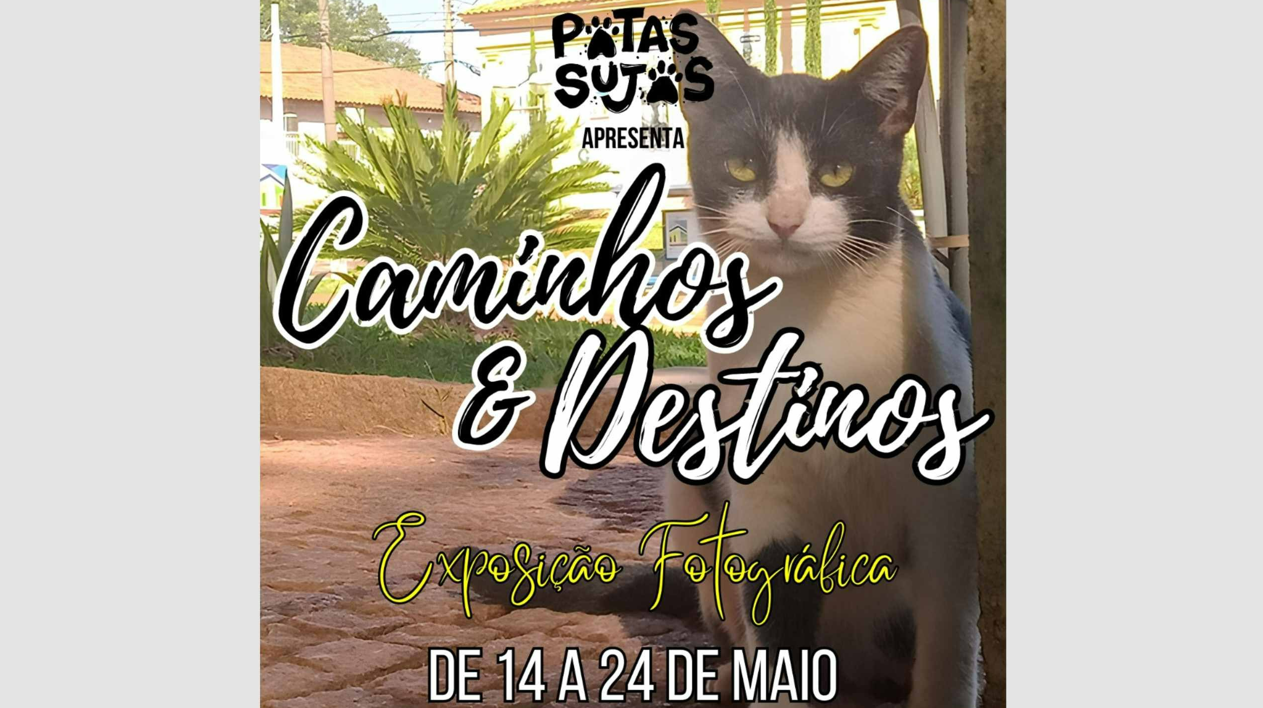 Imagem da notícia: A Câmara receberá a Exposição Fotográfica "Caminhos & Destinos" de 14 a 24 de maio