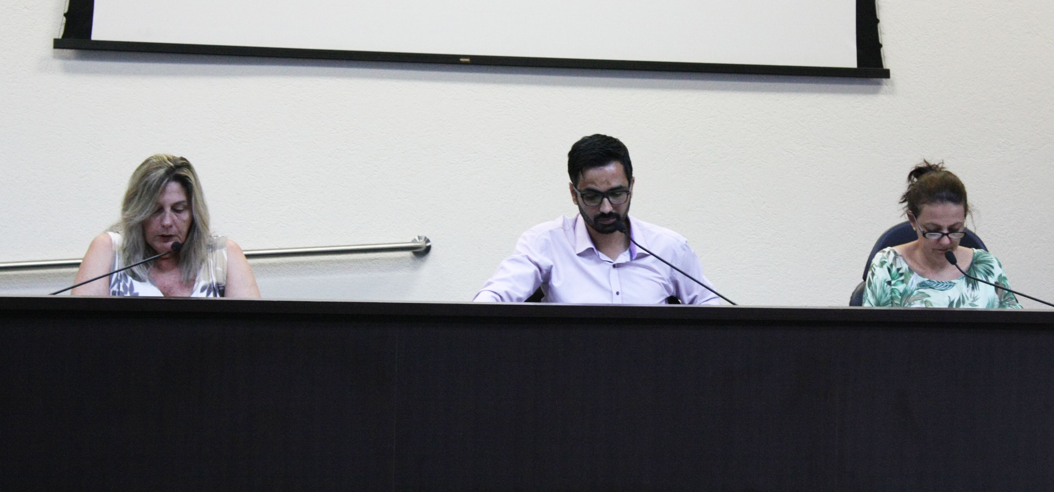 Imagem da notícia: Programa Empresa-Cidadã é instituída