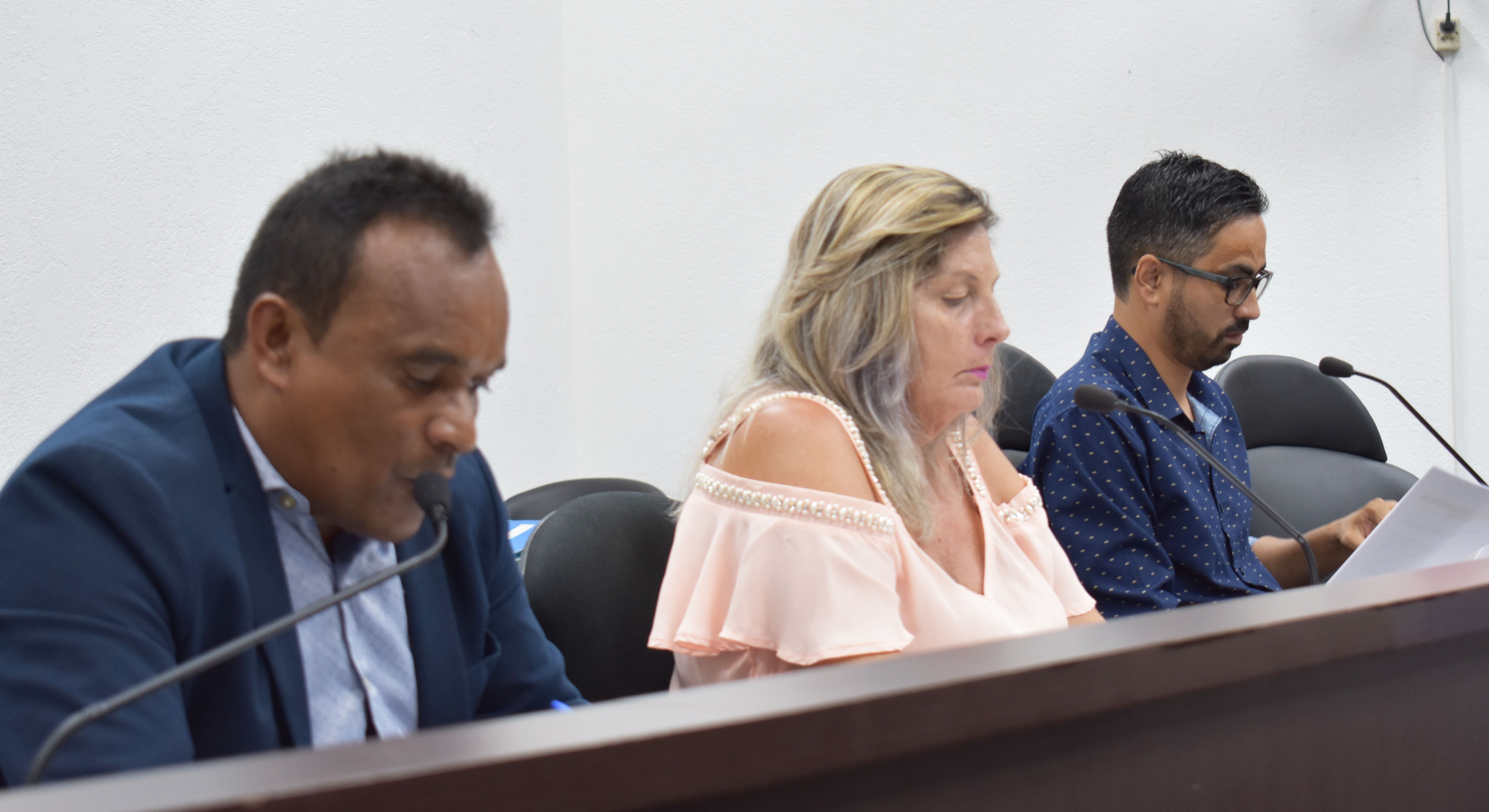 Imagem da notícia: Vereadores aprovam projeto que libera alargamento da marginal próximo à Anhanguera